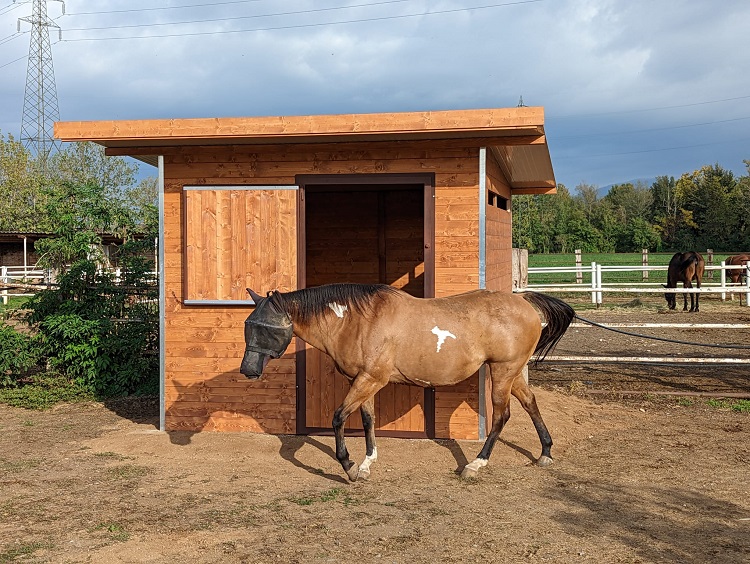 Box per Cavalli in Legno Modulari, Capannine Su Misura